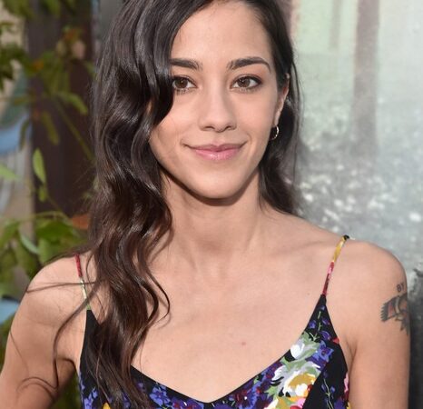 Seychelle Gabriel, une étoile de la science-fiction avec Falling Skies
